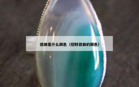 貔貅是什么颜色（招财貔貅的颜色）