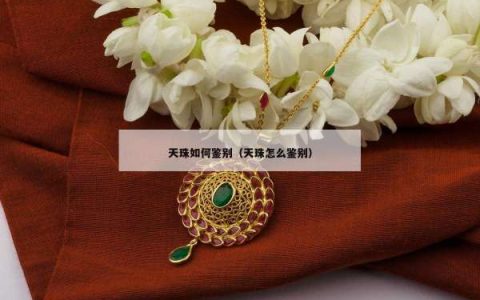 天珠如何鉴别（天珠怎么鉴别）
