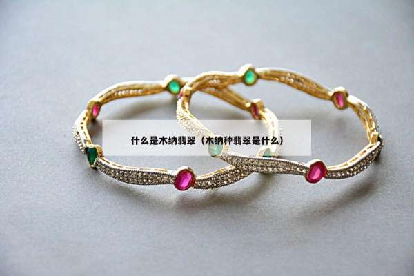什么是木纳翡翠（木纳种翡翠是什么）