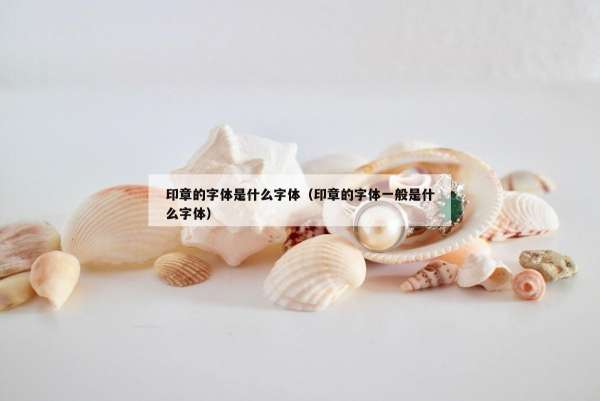 印章的字体是什么字体（印章的字体一般是什么字体）