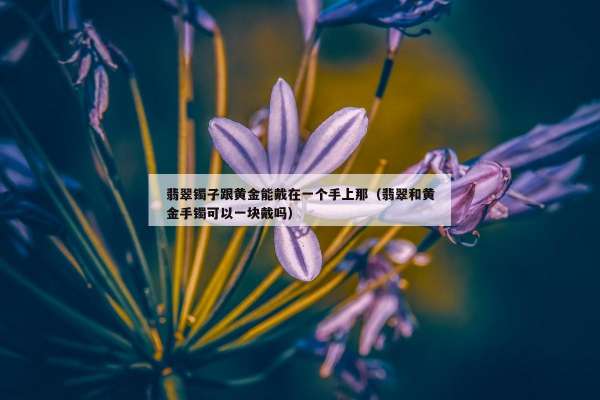 翡翠镯子跟黄金能戴在一个手上那（翡翠和黄金手镯可以一块戴吗）