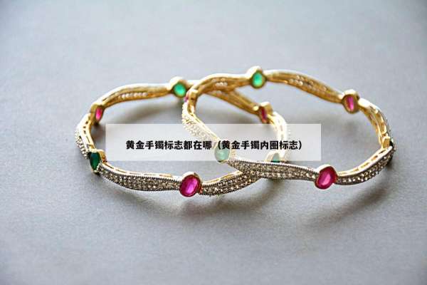 黄金手镯标志都在哪（黄金手镯内圈标志）