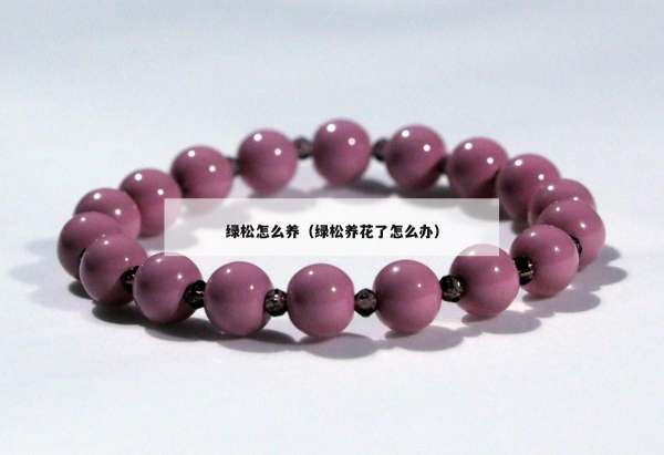 绿松怎么养（绿松养花了怎么办）