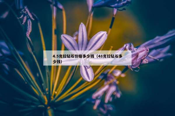 .5克拉钻石价格多少钱（48克拉钻石多少钱）"