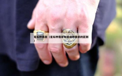 龙石种翡翠（龙石种翡翠和玻璃种翡翠的区别）
