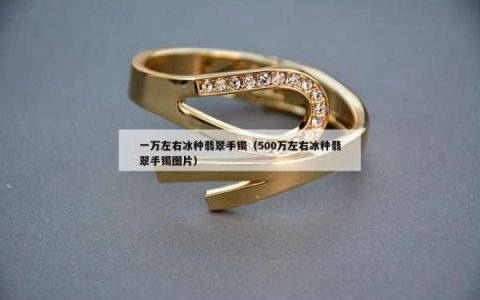 一万左右冰种翡翠手镯（500万左右冰种翡翠手镯图片）