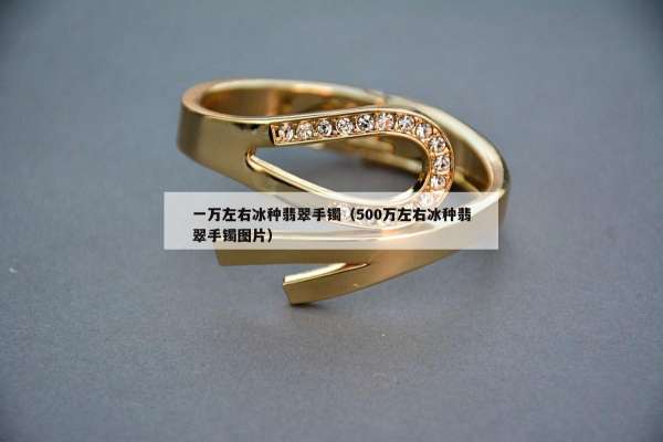 一万左右冰种翡翠手镯（500万左右冰种翡翠手镯图片）