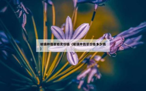 玻璃种翡翠拍卖价格（玻璃种翡翠价格多少钱）