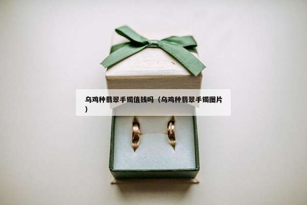 乌鸡种翡翠手镯值钱吗（乌鸡种翡翠手镯图片）