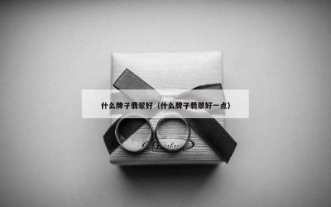 什么牌子翡翠好（什么牌子翡翠好一点）