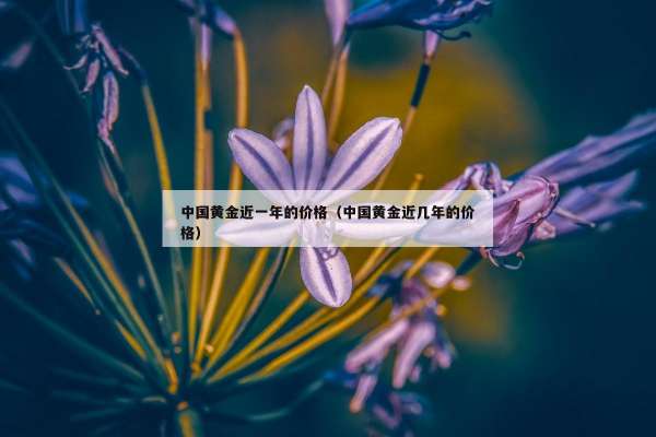 中国黄金近一年的价格（中国黄金近几年的价格）