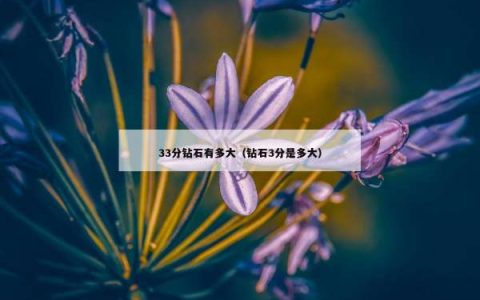 33分钻石有多大（钻石3分是多大）