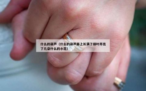 什么的葫芦（什么的葫芦藤上长满了绿叶开出了几朵什么的小花）