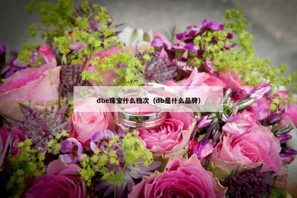 dbe珠宝什么档次（db是什么品牌）