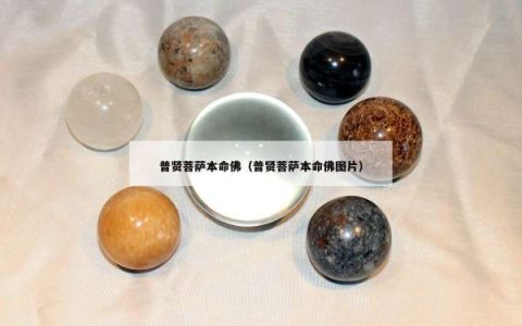 普贤菩萨本命佛（普贤菩萨本命佛图片）