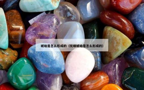 琥珀是怎么形成的（抚顺琥珀是怎么形成的）