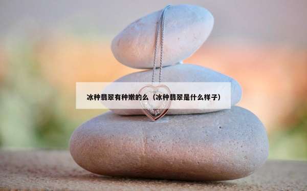 冰种翡翠有种嫩的么（冰种翡翠是什么样子）