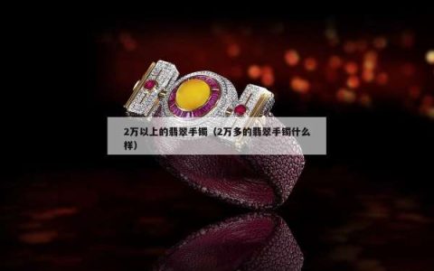 2万以上的翡翠手镯（2万多的翡翠手镯什么样）