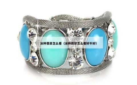 冰种翡翠怎么看（冰种翡翠怎么看好不好）
