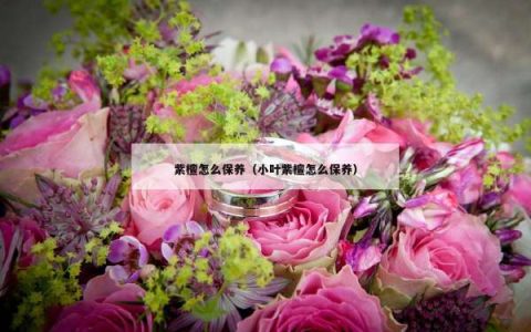 紫檀怎么保养（小叶紫檀怎么保养）