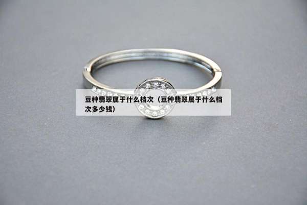 豆种翡翠属于什么档次（豆种翡翠属于什么档次多少钱）