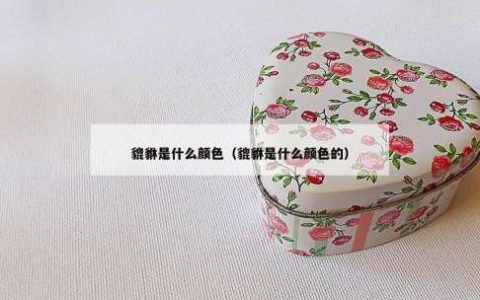 貔貅是什么颜色（貔貅是什么颜色的）