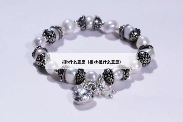 扣b什么意思（扣xb是什么意思）