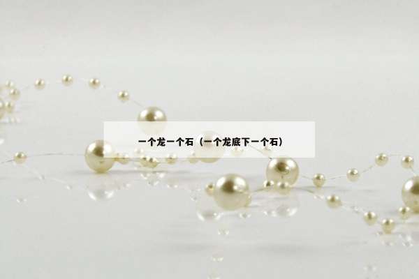 一个龙一个石（一个龙底下一个石）