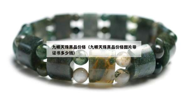 九眼天珠真品价格（九眼天珠真品价格图片带证书多少钱）