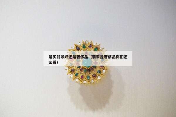 是买翡翠好还是奢侈品（翡翠是奢侈品你们怎么看）
