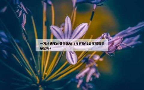 一万块钱买的翡翠吊坠（几百块钱能买到翡翠吊坠吗）