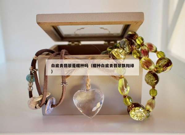 白底青翡翠是糯种吗（糯种白底青翡翠飘阳绿）