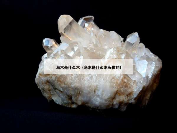 乌木是什么木（乌木是什么木头做的）