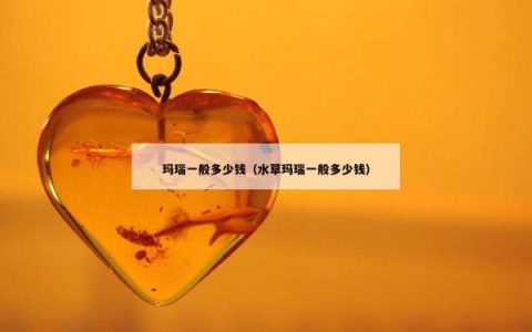 玛瑙一般多少钱（水草玛瑙一般多少钱）