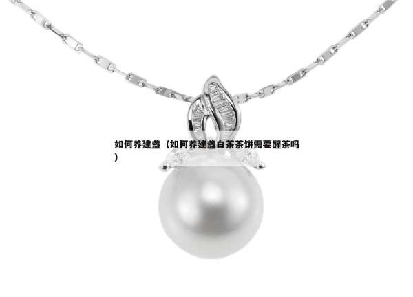 如何养建盏（如何养建盏白茶茶饼需要醒茶吗）