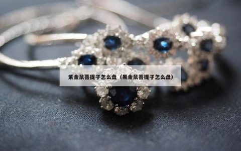 紫金鼠菩提子怎么盘（黑金鼠菩提子怎么盘）