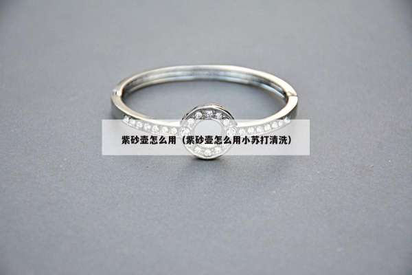 紫砂壶怎么用（紫砂壶怎么用小苏打清洗）