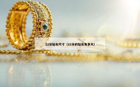 22分钻石尺寸（22分的钻石有多大）