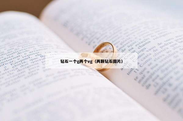 钻石一个g两个vg（两颗钻石图片）