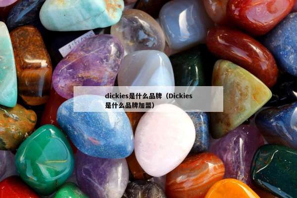 dickies是什么品牌（Dickies是什么品牌加盟）