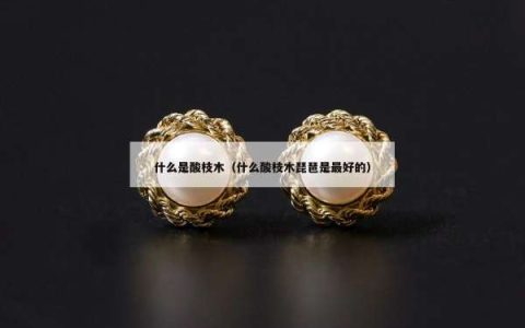 什么是酸枝木（什么酸枝木琵琶是最好的）