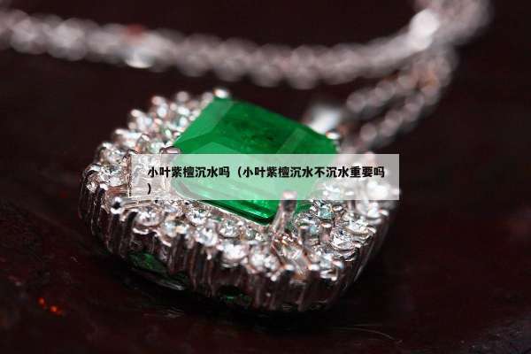 小叶紫檀沉水吗（小叶紫檀沉水不沉水重要吗）