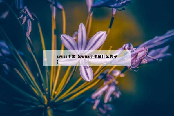 swiss手表（swiss手表是什么牌子）