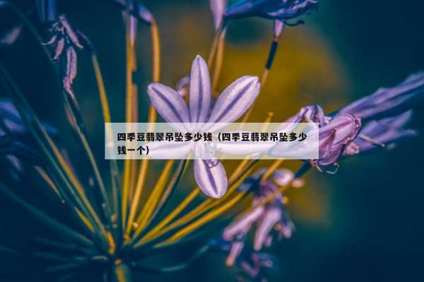 四季豆翡翠吊坠多少钱（四季豆翡翠吊坠多少钱一个）