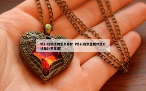 钻石翡翠植物怎么养护（钻石翡翠盆栽养殖方法和注意事项）