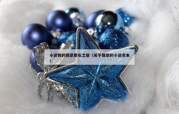小说我的翡翠原石之旅（关于翡翠的小说完本）