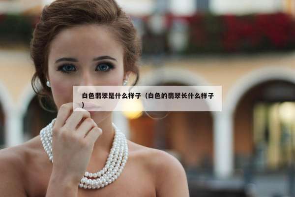 白色翡翠是什么样子（白色的翡翠长什么样子）