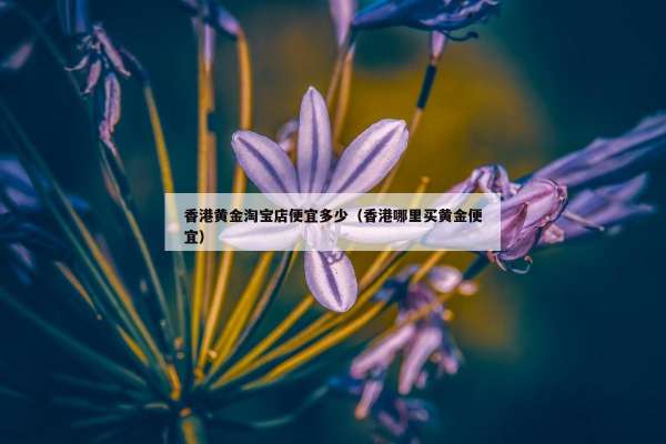 香港黄金淘宝店便宜多少（香港哪里买黄金便宜）