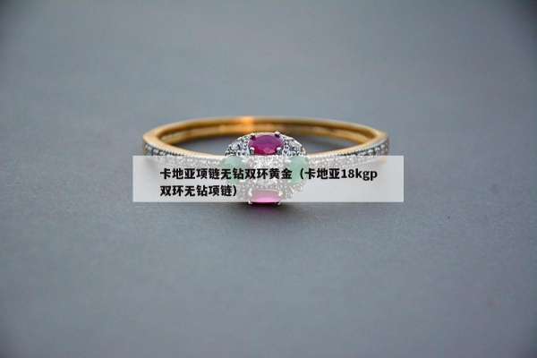 卡地亚项链无钻双环黄金（卡地亚18kgp双环无钻项链）