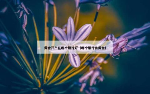黄金开户在哪个银行好（哪个银行有黄金）